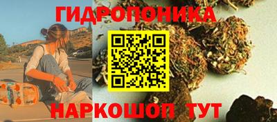 прущая мука Кимры