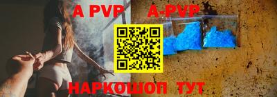 дурь Кингисепп