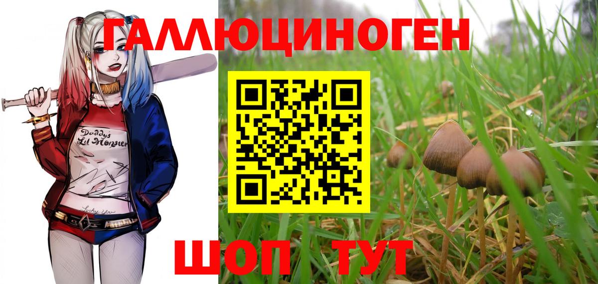 Галлюциногенные грибы мухоморы  Вход с VPN  Черногорск 